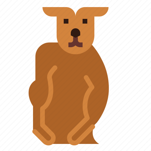 Kangaroo, strong, animal, mammal, macropus icon - Download on Iconfinder