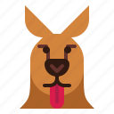 kangaroo, tongue, out, animal, mammal, head