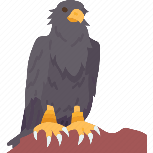 Eagle, bird, predator, wildlife, pet icon - Download on Iconfinder
