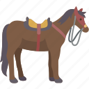 horse, stallion, ride, animal, transportation