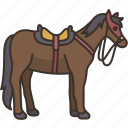 horse, stallion, ride, animal, transportation