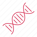 dna, genetic, genome, molecule, science