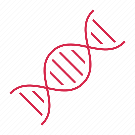 Dna, genetic, genome, molecule, science icon - Download on Iconfinder