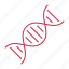 dna, genetic, genome, molecule, science 