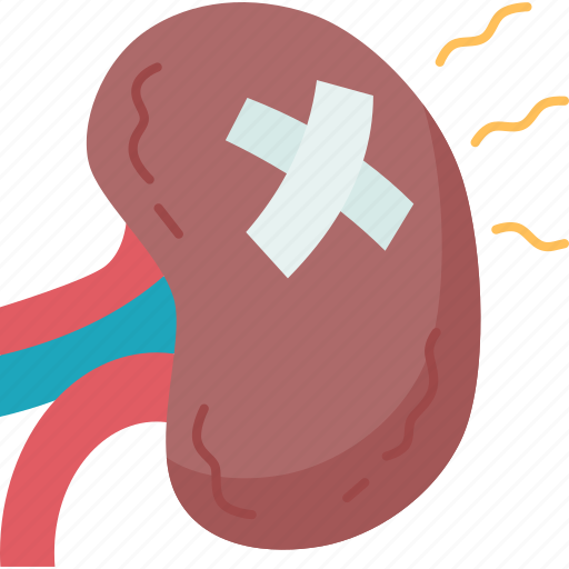 Kidney, pain, renal, disease, health icon - Download on Iconfinder