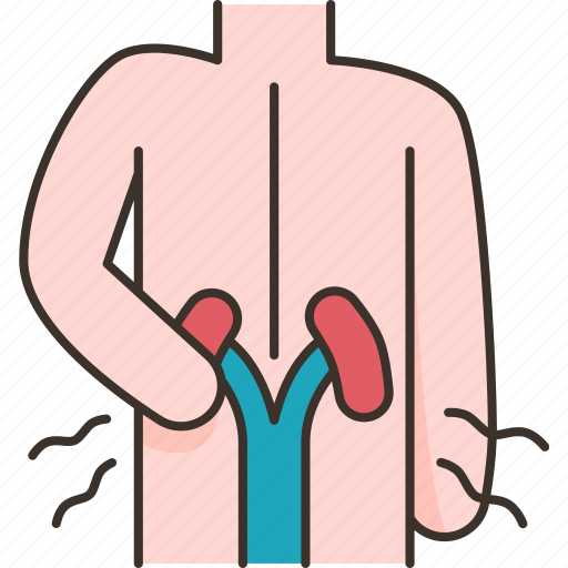 Backache, pain, kidney, stones, infection icon - Download on Iconfinder