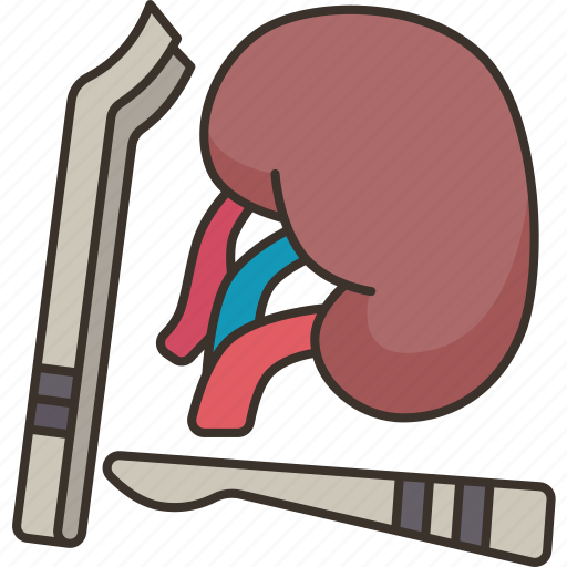 Kidney, surgery, urinary, medical, operation icon - Download on Iconfinder