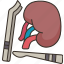 kidney, surgery, urinary, medical, operation 