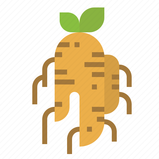 Chinese, ginseng, health, herb, korea icon - Download on Iconfinder