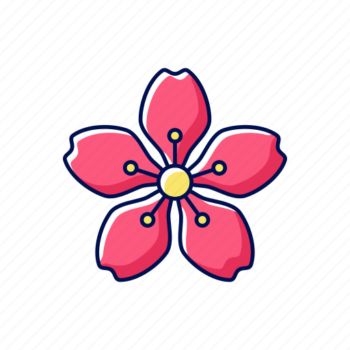 Cherry, blossom, flower, asian icon - Download on Iconfinder