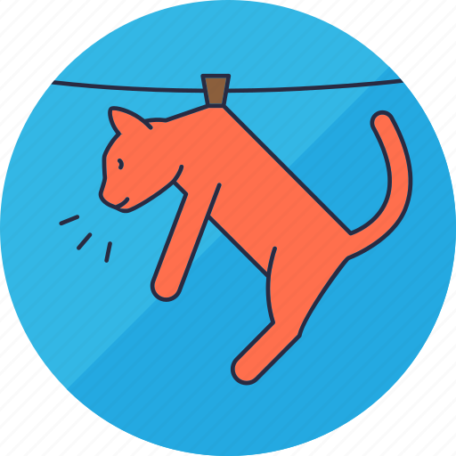 Laundry, animal, animals, cat, hang, pet, washing icon - Download on Iconfinder