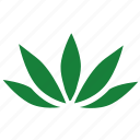 canabis, green, label, leaf