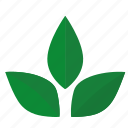 green, herbal, label, leaf, sign, tea