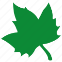 canada, green, label, leaf, maple, sign