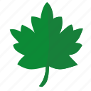 green, label, leaf, oak, sign, tree