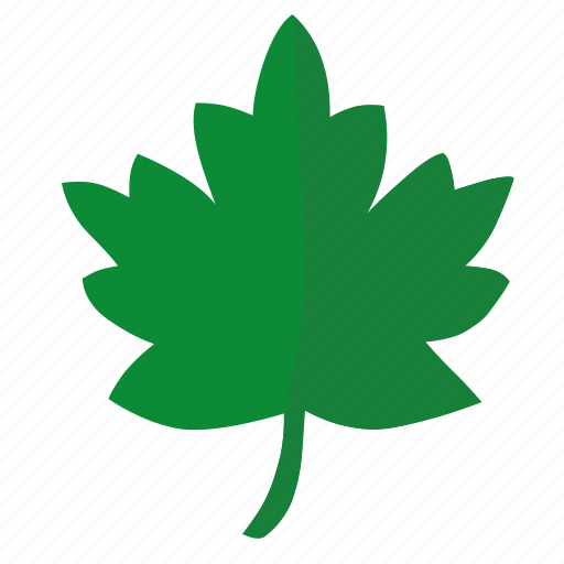 Green, label, leaf, oak, sign, tree icon - Download on Iconfinder