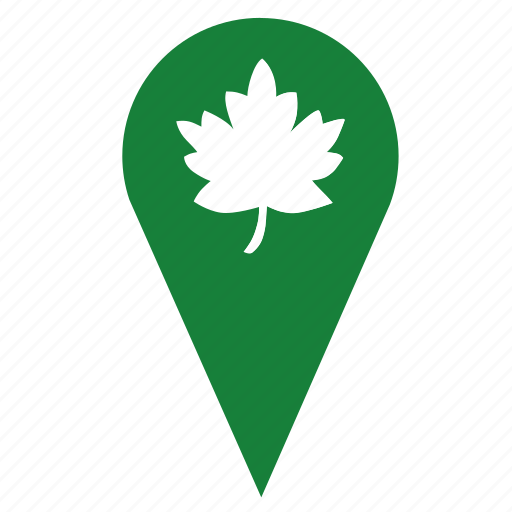 Geo, leaf, nature, oak, park, point, tree icon - Download on Iconfinder