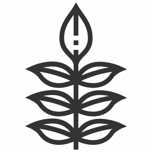 Ash, leaf, leaves, nature, plant icon - Download on Iconfinder