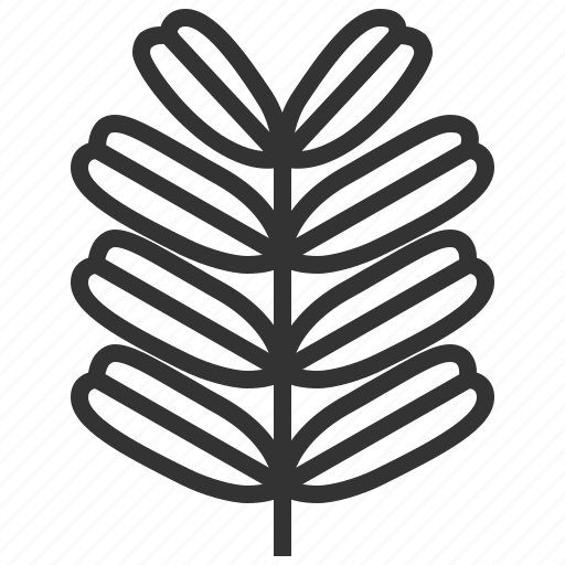 Tamarind, leaf, leaves, plant icon - Download on Iconfinder