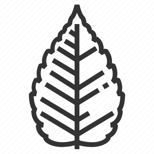 Zelkova, leaf, leaves, sign icon - Download on Iconfinder