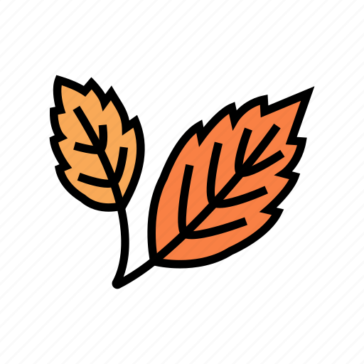 Autumn, leaf, branch, natural, foliage, tree icon - Download on Iconfinder