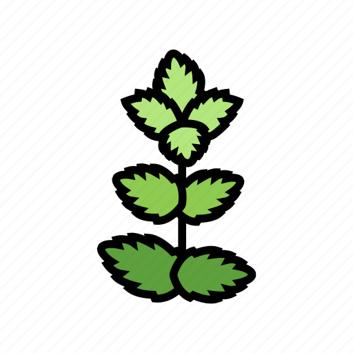 Mint, leaf, branch, natural, foliage, tree icon - Download on Iconfinder