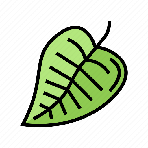 Plant, leaf, branch, natural, foliage, tree icon - Download on Iconfinder