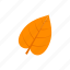 autumn, cordate, leaf, orange 