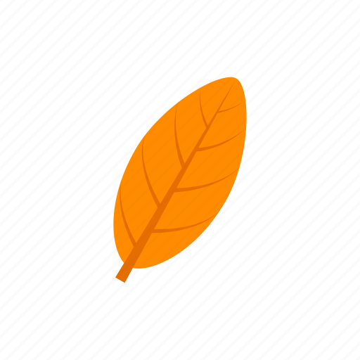 Autumn, elliptic, leaf, orange icon - Download on Iconfinder