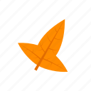 autumn, hastate, leaf, orange