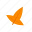autumn, hastate, leaf, orange 