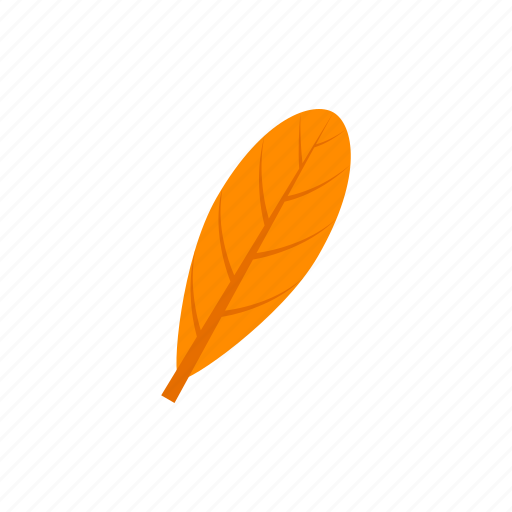 Autumn, leaf, oblanceolate, orange icon - Download on Iconfinder