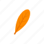 autumn, leaf, oblanceolate, orange 