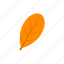 autumn, leaf, obovate, orange 