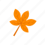 autumn, leaf, orange, palmatifid 