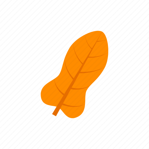 Autumn, leaf, orange, pandurate icon - Download on Iconfinder
