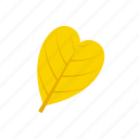 abcordate, autumn, leaf, yellow