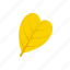 abcordate, autumn, leaf, yellow 