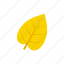 autumn, cordate, leaf, yellow 