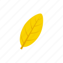 autumn, elliptic, leaf, yellow