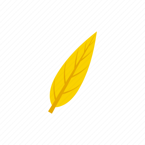 Autumn, lanceolate, leaf, yellow icon - Download on Iconfinder