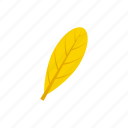 autumn, leaf, oblanceolate, yellow