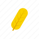 autumn, leaf, oblong, yellow