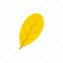 autumn, leaf, obovate, yellow