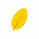 autumn, leaf, ovate, yellow