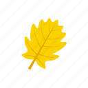 autumn, leaf, pinnatifid, yellow