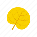 autumn, leaf, reniform, yellow