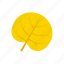 autumn, leaf, reniform, yellow 