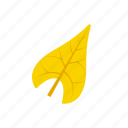 autumn, leaf, sagittate, yellow