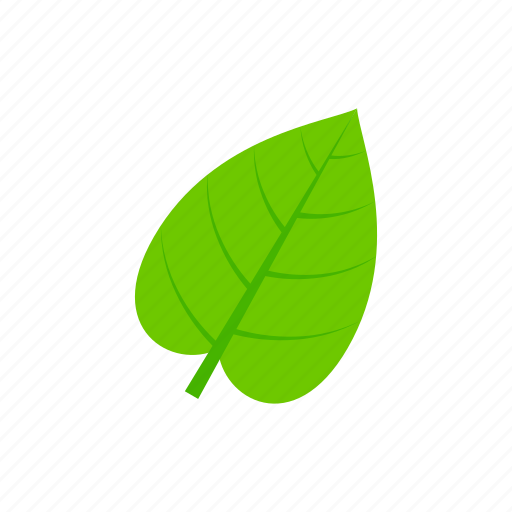 Cordate, green, leaf, summer icon - Download on Iconfinder